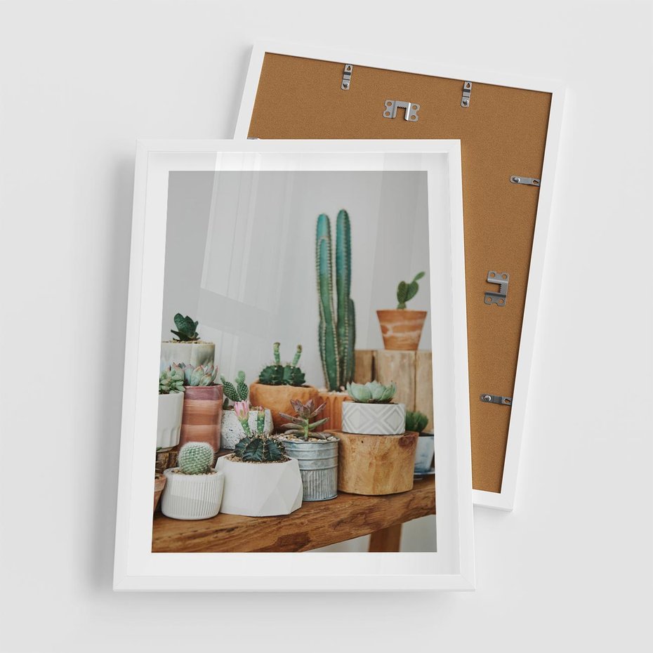 Plakat w ramie 50x70 - Kaktusowa Galeria w Doniczkach - kaktusy w doniczkach, fotografia - rama biała