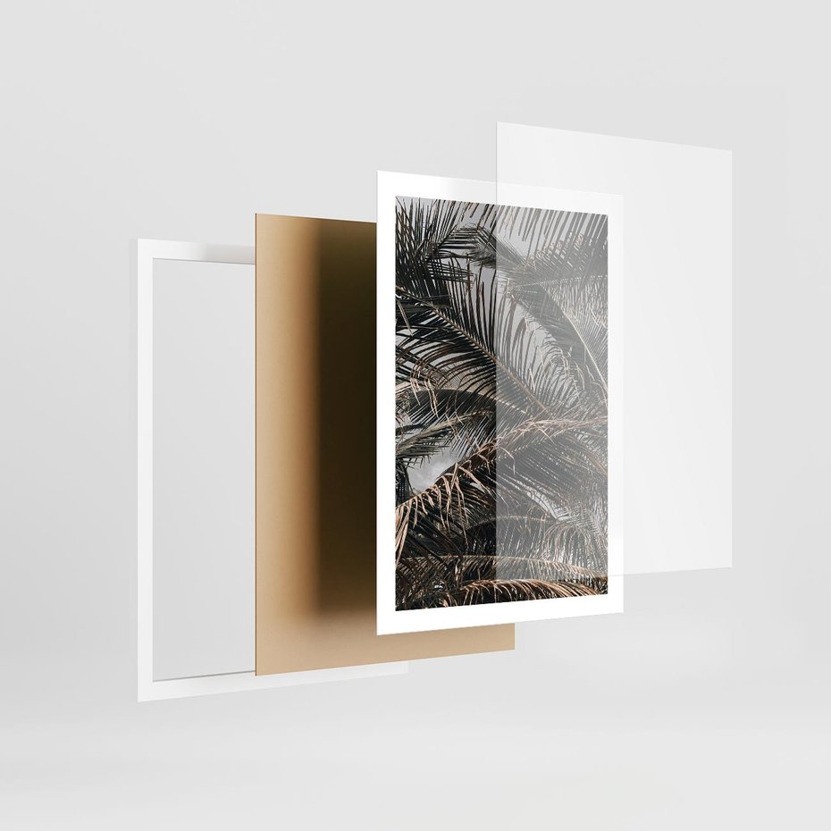 Plakat w ramie 50x70 - Liściaste Palmy - palmy, drzewa palmowe - rama biała