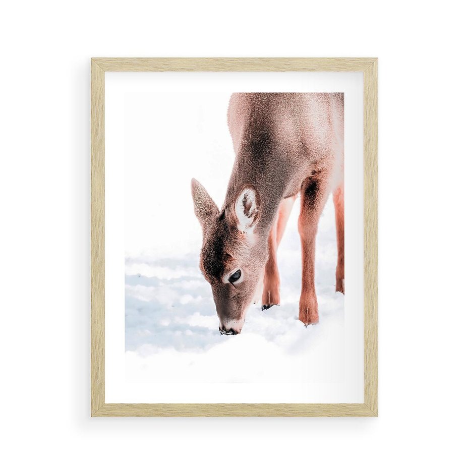 Plakat w ramie 40x50 - Sarna w Zimowym Raju - sarna, na śniegu - rama drewno