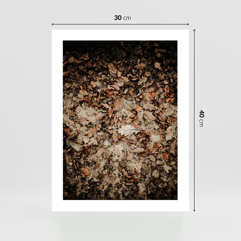 Plakat bez ramy 30x40 - Suchość Liści w Brązowych Tonach - suche liście jesień brąz