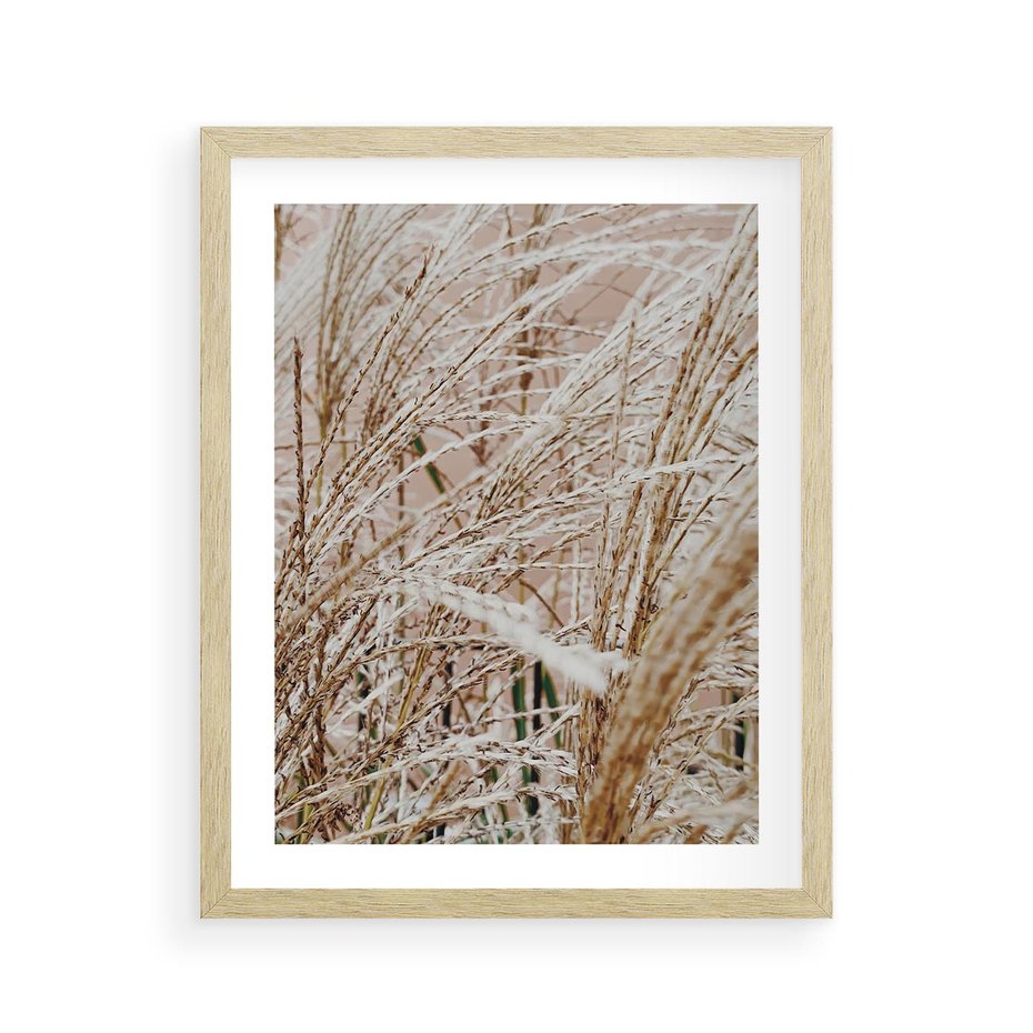 Plakat w ramie 40x50 - Beżowa Trawa - suche trawy, zbliżenie - rama drewno