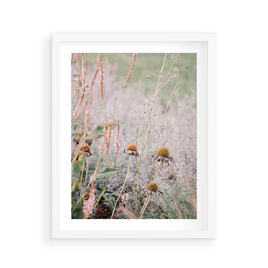 Plakat w ramie 40x50 - Przyroda w Pełnym Blasku: Kolorowa łąka z Kwiatami - łąka, kwiaty na łące - rama biała