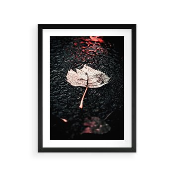 Plakat w ramie 50x70 - Jesień w Detalu: Liść na Mokrej Drodze - liść, jesień - rama czarna