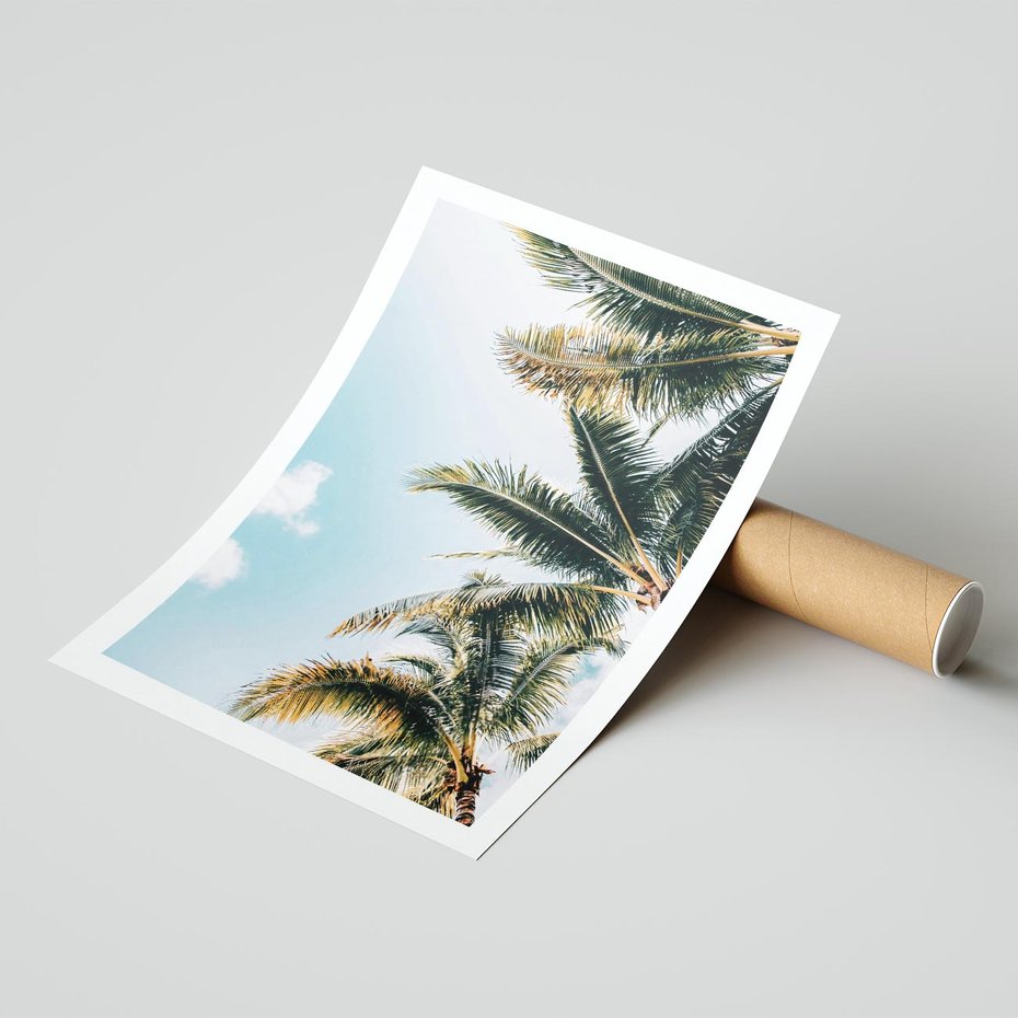 Plakat bez ramy 21x30 - Pod Błękitnym Niebem - palmy, ujęcie z dołu