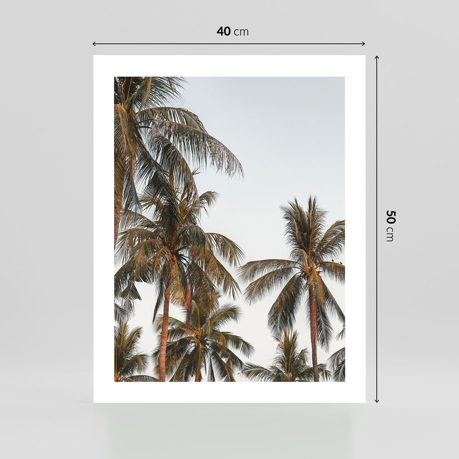 Plakat bez ramy 40x50 - Palmy - tęsknota za Hawajami - palmy, Hawaje