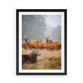 Plakat w ramie 50x70 - Malownicza Harmonia - jelenie, jesień - rama czarna