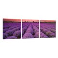 Obraz na płótnie 120x40 - Lawenda: polne zauroczenie - lawenda, kwiaty