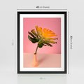 Plakat w ramie 40x50 - Egzotyczna monstera - monstera, liść - rama czarna