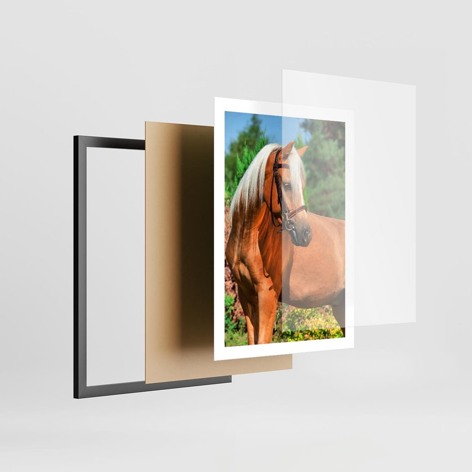 Plakat w ramie 50x70 - Elegancki wierzchowiec - koń, portret - rama czarna