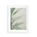 Plakat w ramie 30x40 - Minimalistyczna Tropikalna Harmonia - tropikalna roślina, zielone liście - rama biała