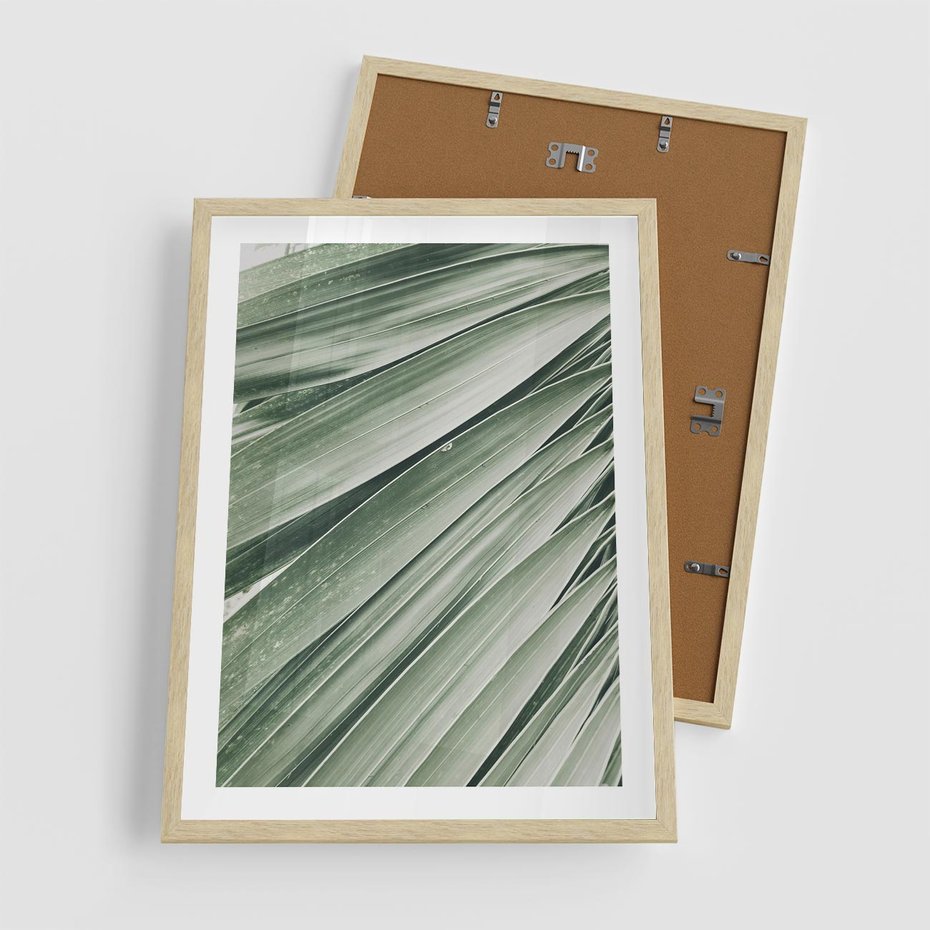 Plakat w ramie 50x70 - Tropikalna Oaza - zielony liść palmy, zieleń - rama drewno