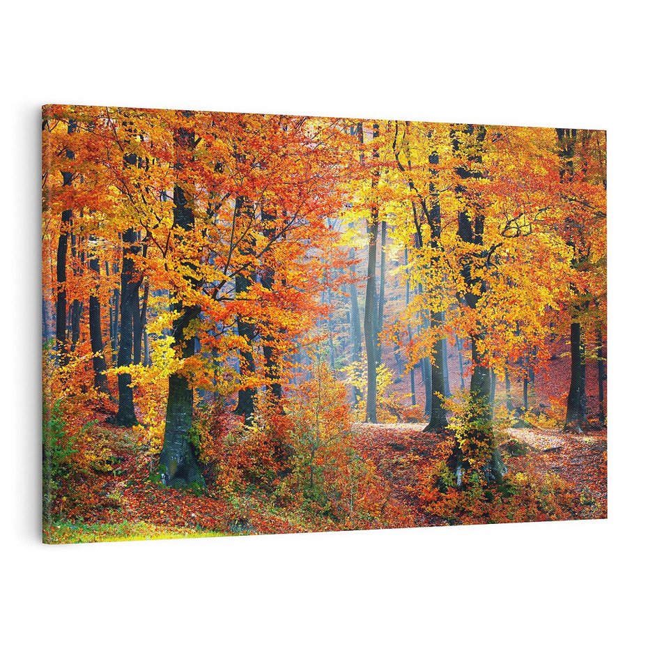 Obraz na płótnie 120x80 - Jesienny taniec lasu - jesień, las