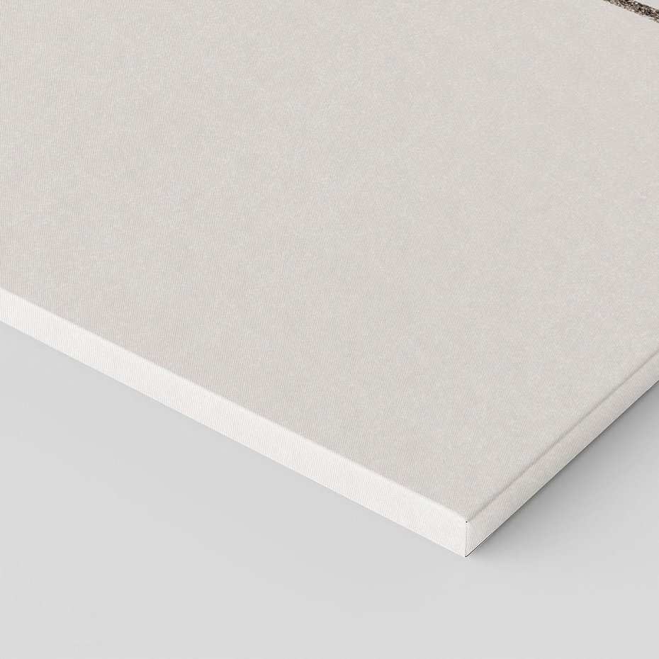 Obraz na płótnie 120x80 - Cień Kwiatowej Delikatności - kwiat, cień