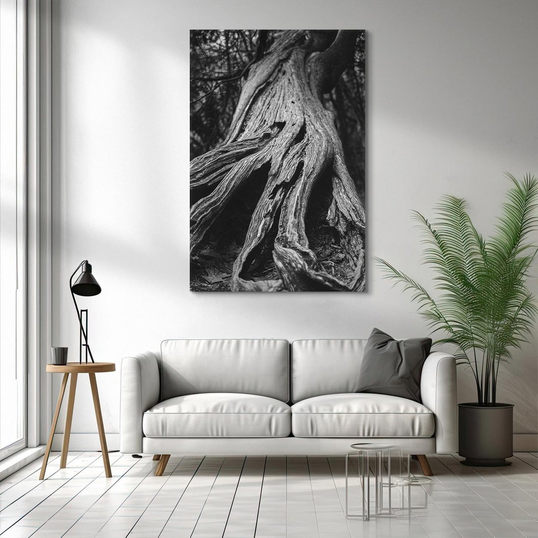 Obraz na płótnie 50x70 - Siła Natury - czarno biała fotografia, korzenie wielkiego drzewa
