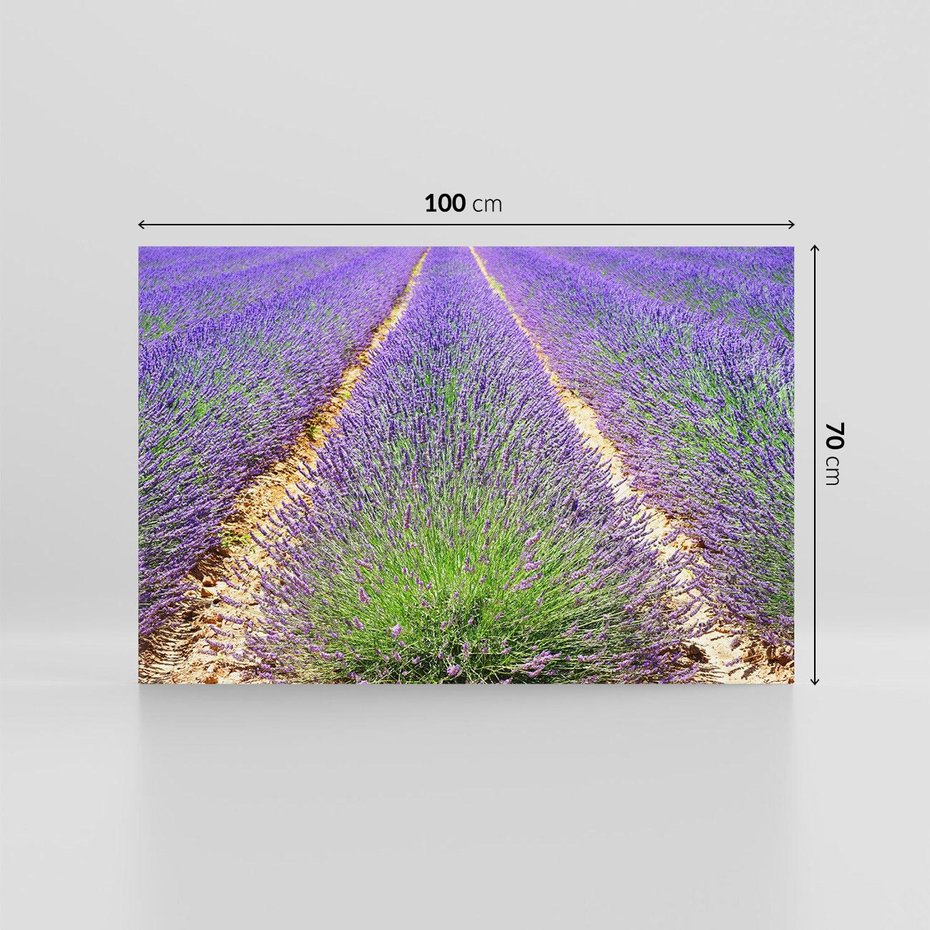 Obraz na płótnie 100x70 - Lawendowy kwiat - lawenda, kwiat