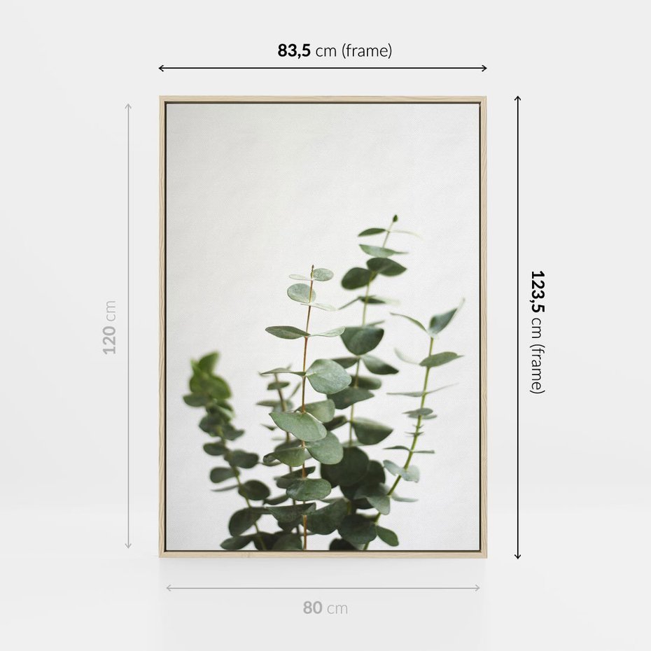 Obraz w ramie 80x120 - Żywa eukaliptusowa zieleń - eukaliptus, zielone - rama drewno