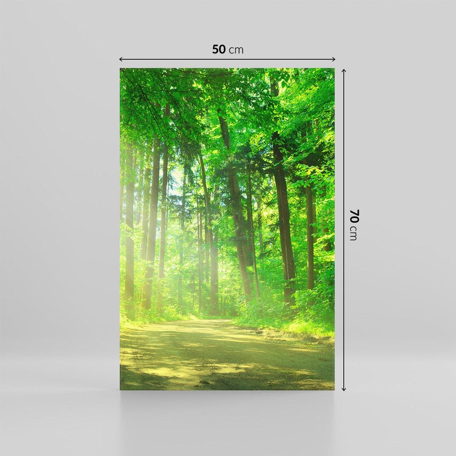 Obraz na płótnie 50x70 - Urok lasu na drodze - las, drzewa