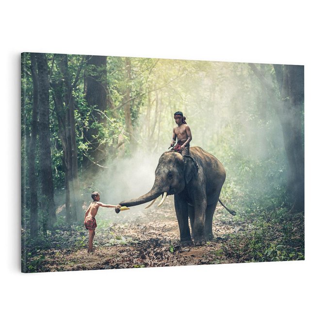 Obraz na płótnie 100x70 - Azja słońce wśród lasu - Azja, słoń
