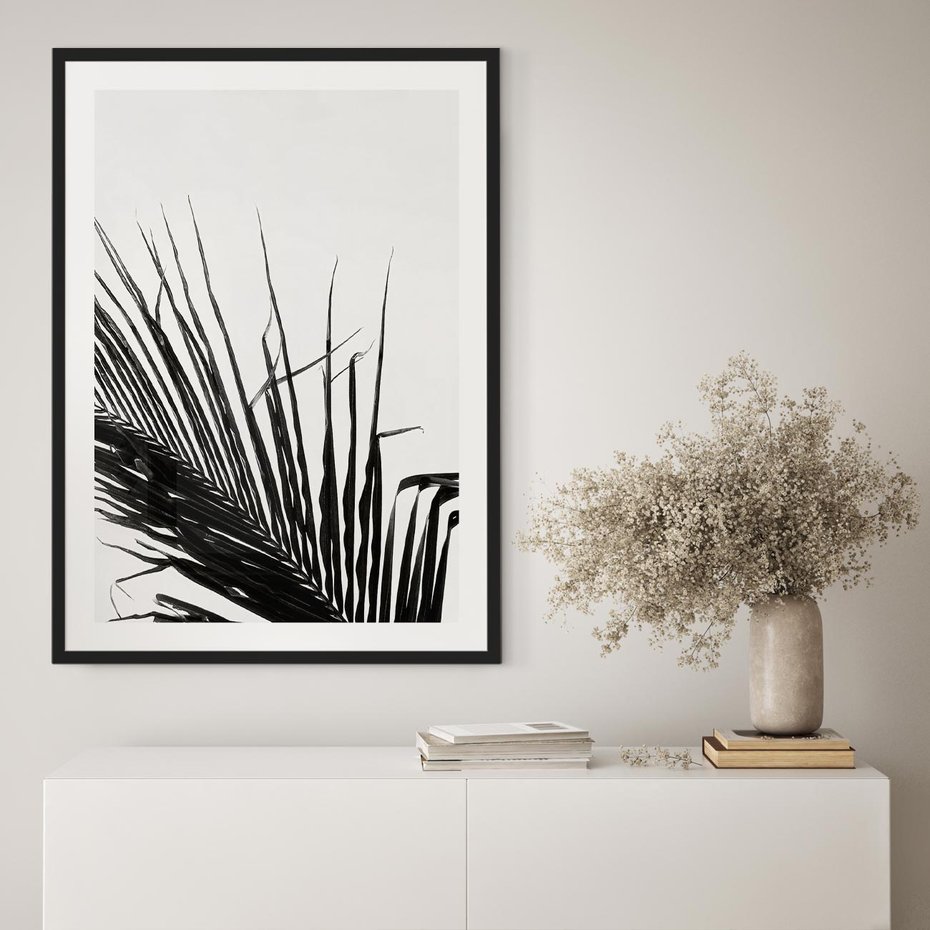 Plakat bez ramy 50x70 - Sztuka Natury: Monochromatyczna Palma - palma, czarno białe zdjęcie