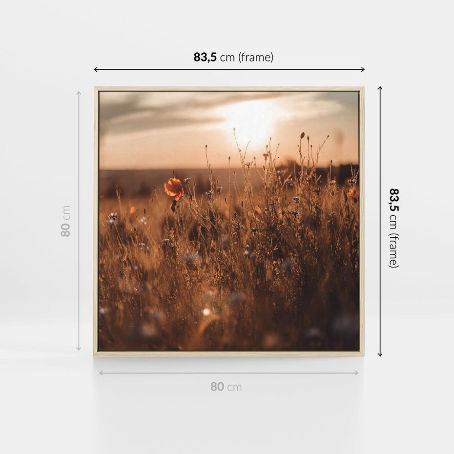 Obraz w ramie 80x80 - Zachwyt zachodem słońca na łące - zachód, słońca - rama drewno
