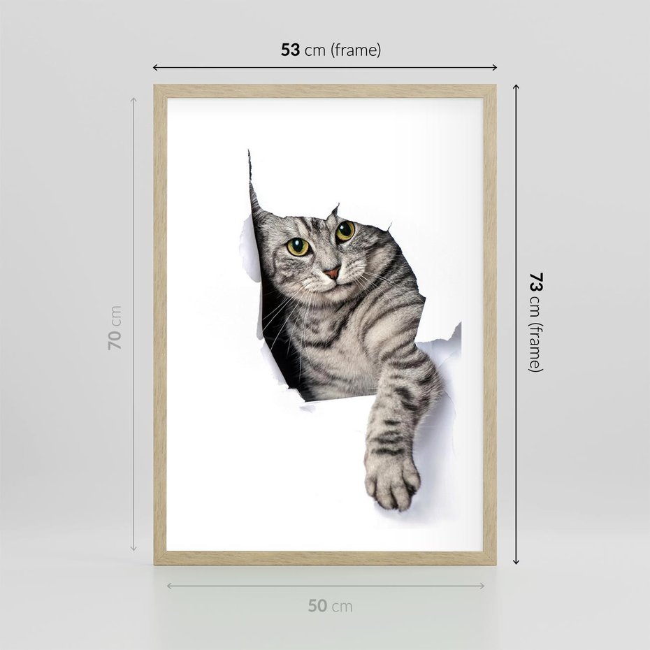 Plakat w ramie 50x70 - Tajemniczy kot i jego świat - kot, dziura - rama drewno