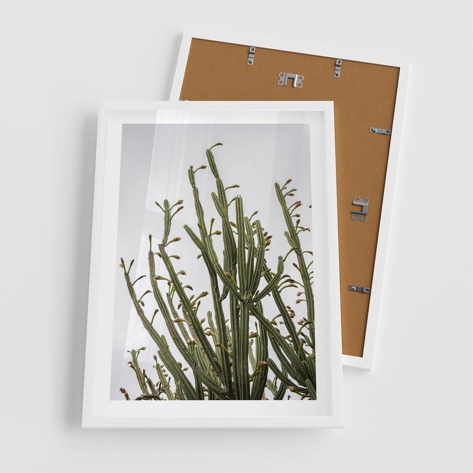 Plakat w ramie 50x70 - Ekskluzywna Roślinność - kaktusy, liście - rama biała