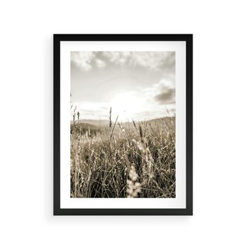 Plakat w ramie 40x50 - Łąka w Klimacie Sepii - suche trawy, łąka - rama czarna