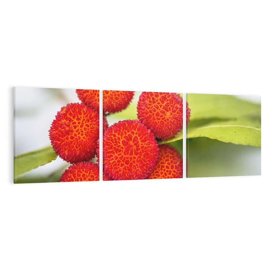 Obraz na płótnie 120x40 - Liczi Owoce - liczi, owoce