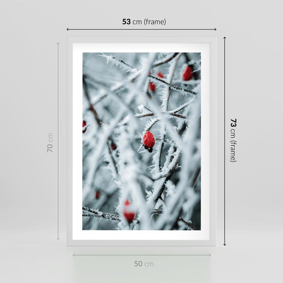 Plakat w ramie 50x70 - Zima na Gałęziach - zima, oszronione gałęzie - rama biała