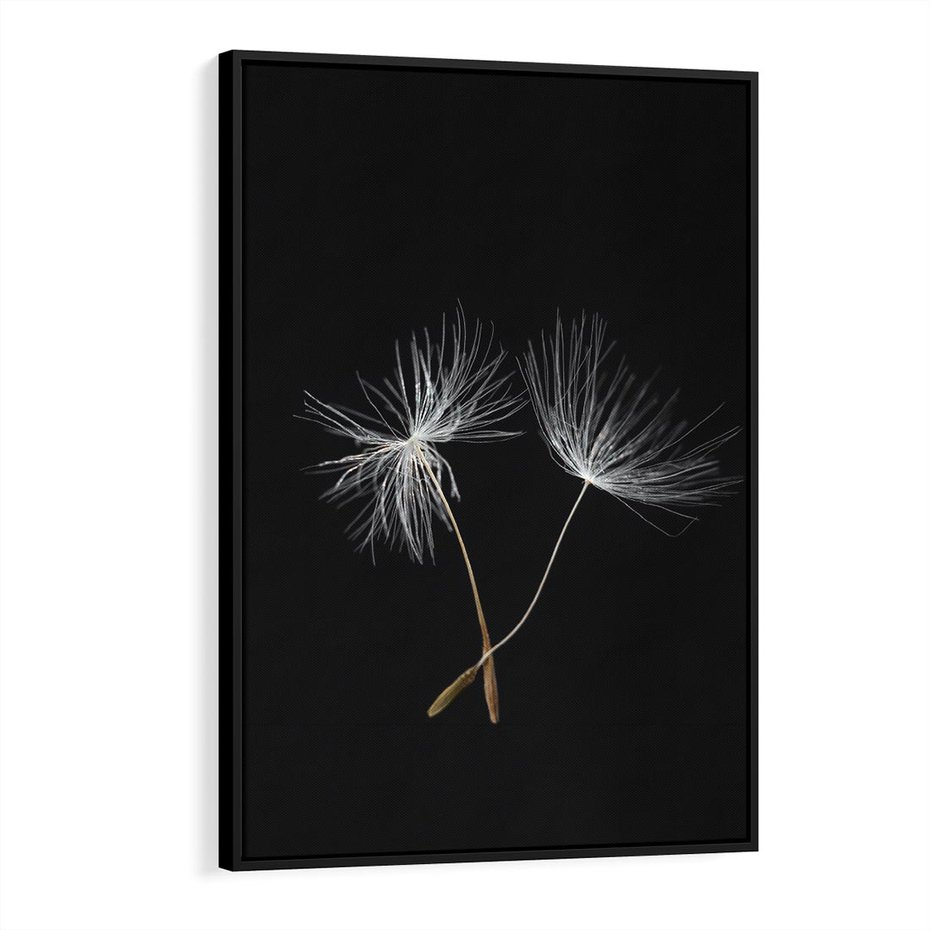 Obraz w ramie 70x100 - Delikatność Wiatru - dmuchawce, makro - rama czarna