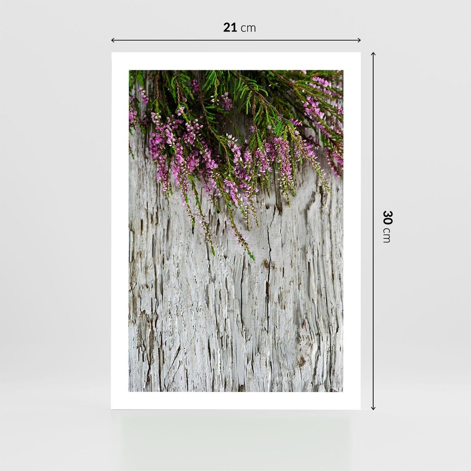 Plakat bez ramy 21x30 - Fioletowe Wrzosy - wrzosy, fiolet