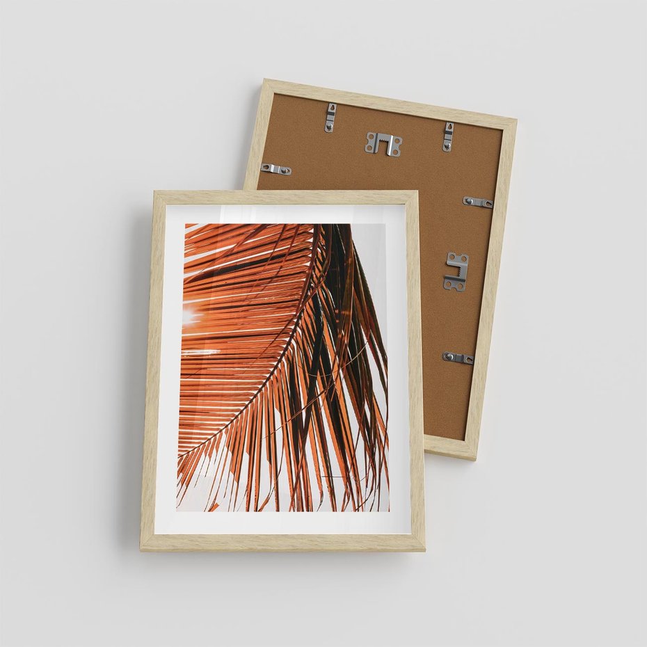 Plakat w ramie 30x40 - Słońce na Palmie - palma, promienie słońca - rama drewno