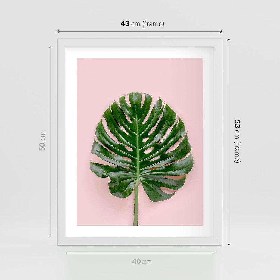 Plakat w ramie 40x50 - Monstera w Różowym Świetle - liść monstery, różowe tło - rama biała
