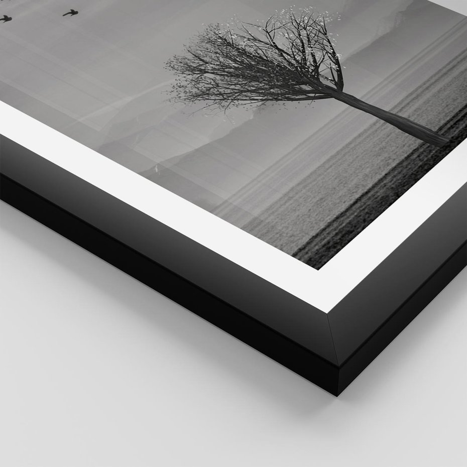 Plakat w ramie 50x70 - Samotne Drzewo - samotne drzewo w polu, czarno białe zdjęcie - rama czarna