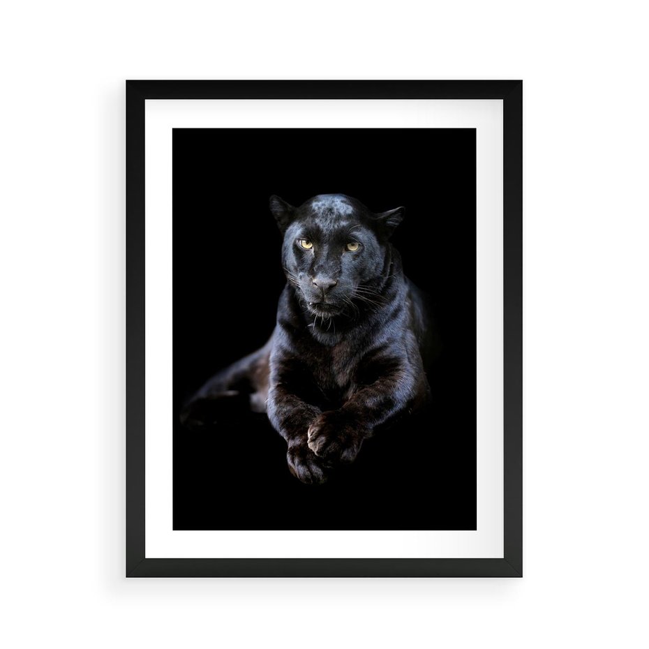 Plakat w ramie 40x50 - Czarna pantera: majestat i siła - czarna, pantera - rama czarna
