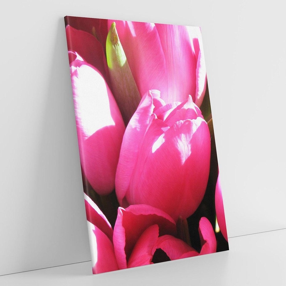 Obraz na płótnie 50x70 - Tulipany w pejzażu - tulipany, kwiaty