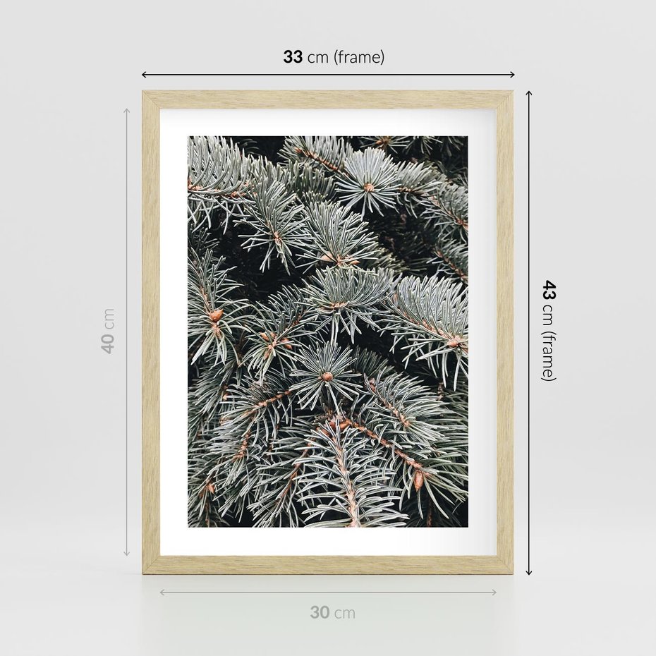 Plakat w ramie 30x40 - Zima na Gałęziach - sosnowe gałęzie, igły - rama drewno