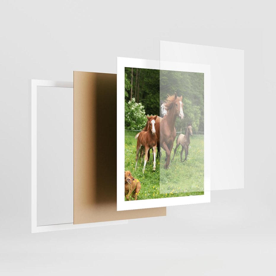 Plakat w ramie 40x50 - Galopujące konie - konie, galop - rama biała