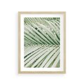 Plakat w ramie 30x40 - Liście Palmy: Egzotyczna Grafika - palma, liście palmy - rama drewno