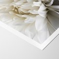 Plakat bez ramy 40x50 - Białe Kwiaty Delikatności - białe, kwiaty