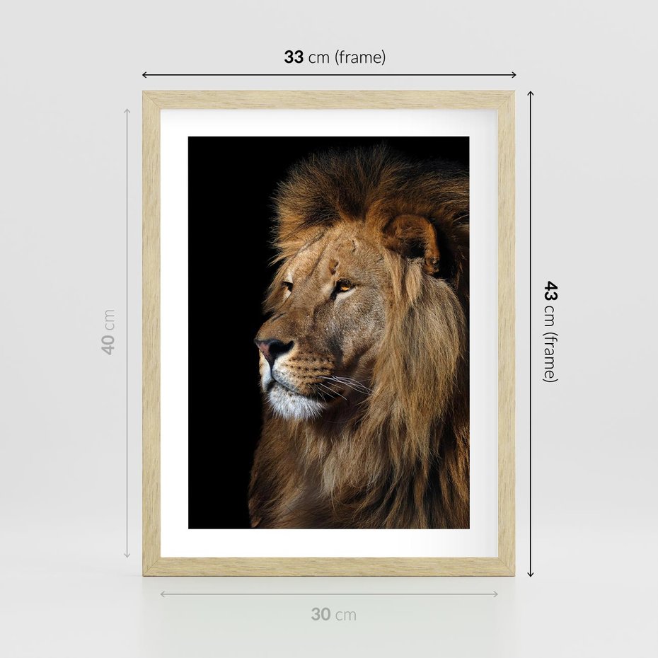 Plakat w ramie 30x40 - Władca Dzikiej Przyrody - lew, król - rama drewno
