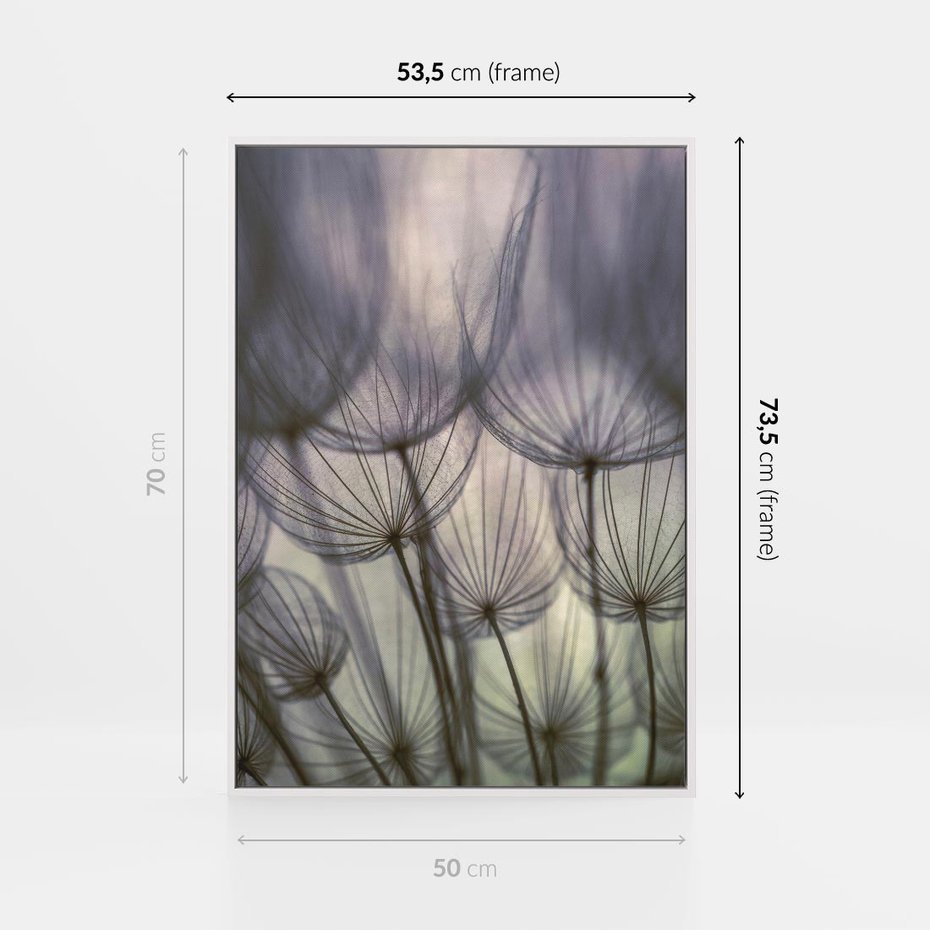 Obraz w ramie 50x70 - Makro dmuchawiec - piękno drobnych detali - dmuchawce, makro - rama biała