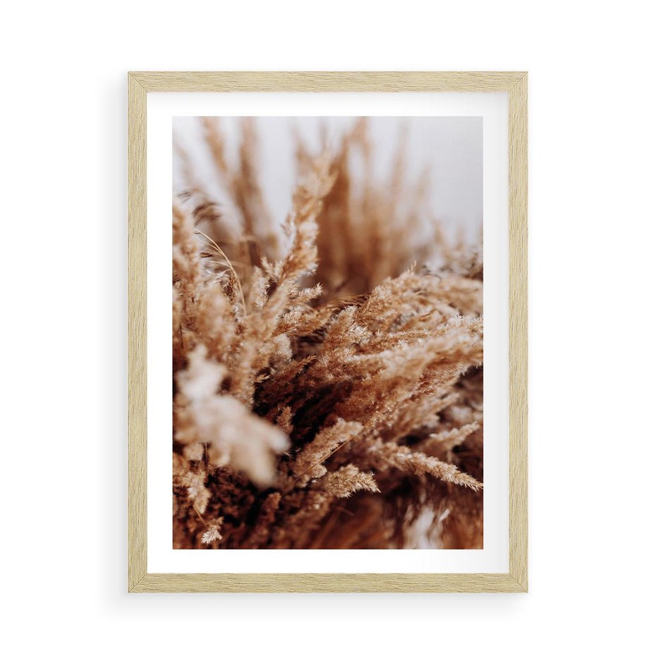 Plakat w ramie 50x70 - Sztuka Suszonych Traw - trawa pampas, suszone trawy - rama drewno