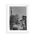 Plakat w ramie 50x70 - Pustynny Klimat - czarno białe zdjecie, pustynia - rama biała