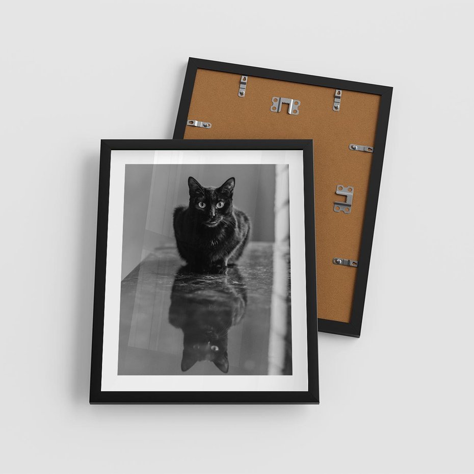 Plakat w ramie 40x50 - Kocie Oczy - kot, czarno białe zdjęcie - rama czarna