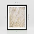 Plakat w ramie 40x50 - Białe Trawy Pampas - suche trawy, białe trawy - rama czarna