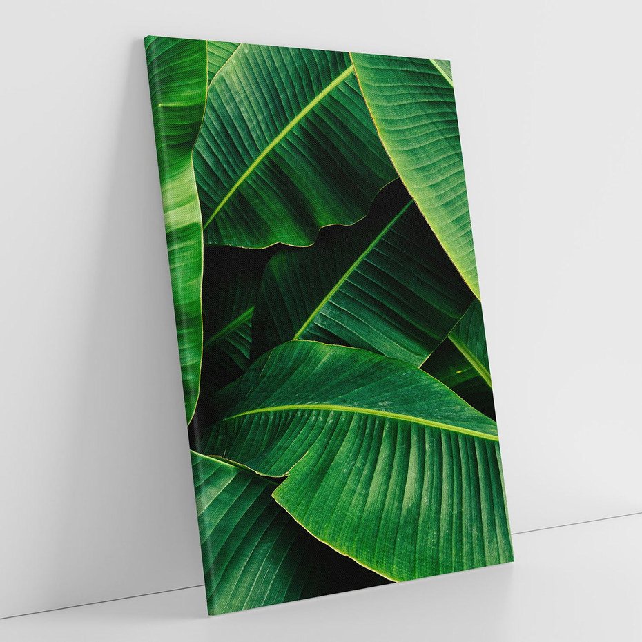 Obraz na płótnie 50x70 - Zaklęta roślinna ekspresja - liście bananowca, gęsto ułożone