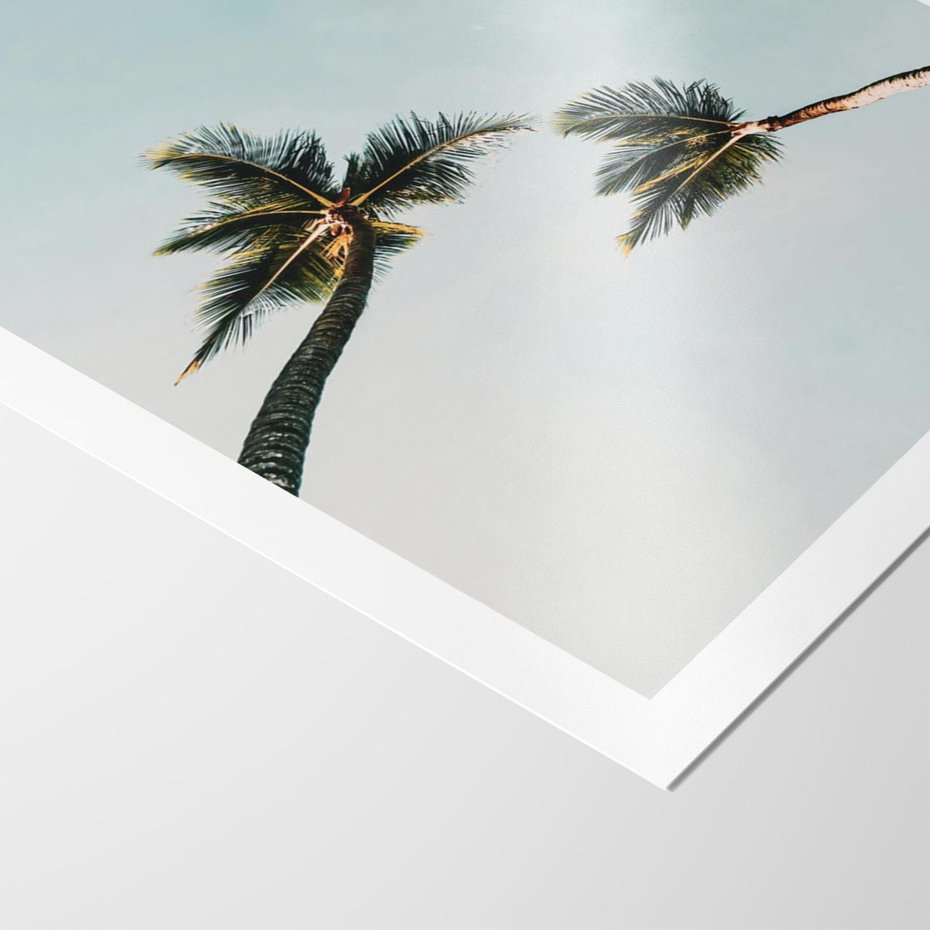 Plakat bez ramy 21x30 - Palmy i Niebo - palmy, ujęcie z dołu