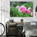Obraz na płótnie 120x80 - Różane Ukojenie - róże, kwiaty