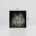 Obraz na płótnie 40x40 - Moc lewego spojrzenia - lew, czarno